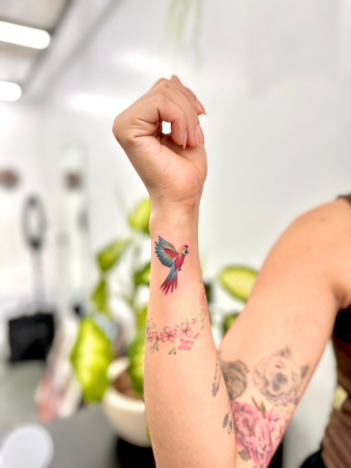 Transformações com cores claras